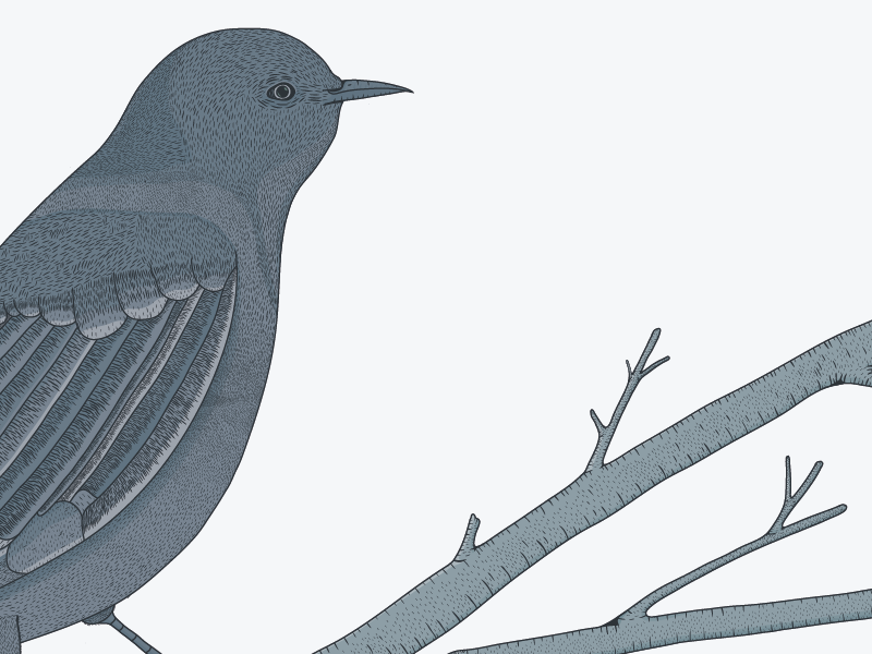 why-it-s-a-sin-to-kill-a-mockingbird-curated-quotes